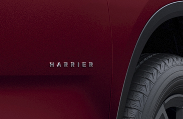 Signature Harrier Mascot On Doors